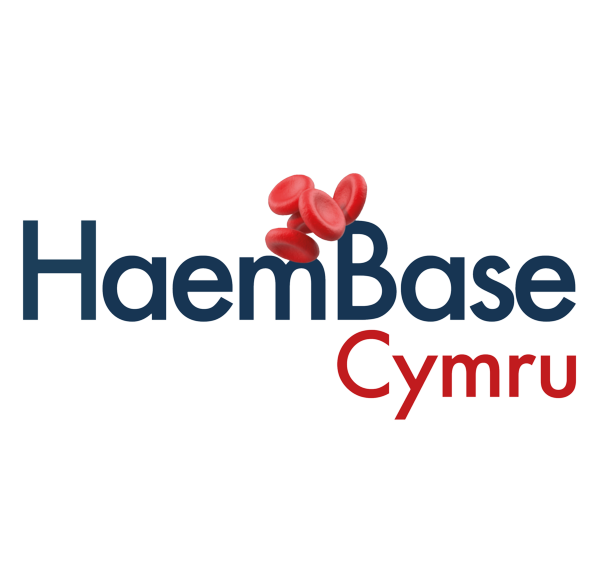 HAEM BASE