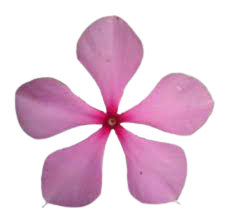 IHaematology.com